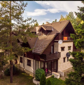 Borov vrh